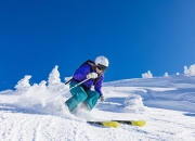 开云棋牌平台-雄鹿轻取魔术，抢七之夜的统治力宣言