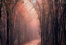 开云官网-热火B队绝杀魔术，拉文惊艳世界